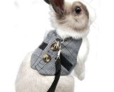 Adjustable Rabbit Costume Harness Small Animal Harness and Leash for Small Animal Rabbit Hamster Cat (Gray m) BD-WJR-853