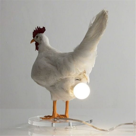 Chicken Led Lights Eggs Night Light Taxidermy Chicken Egg Desk Lamp Thsinde Style b TM1008028-KW
