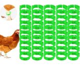 Lot of 100 rings for chicken feet with digital label buckle adjustable ring for chicken leg, birds, pigeons, bird clips, ankles, quail leg stripes, BETGB014286 9434273284361