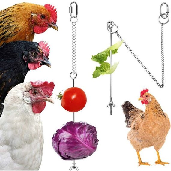 Hanging chicken feeder chicken parrot hanging stainless steel bird feeder chicken feeder toy BETGB003175 9088659279511