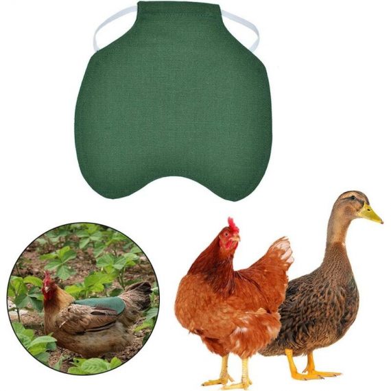 Betterlife 3PCS Pet Vest, Chicken Clothes, Poultry Hen Saddle Apron, Adjustable Chicken Vest Feather Protective Support Green LOW022461 9466991713083