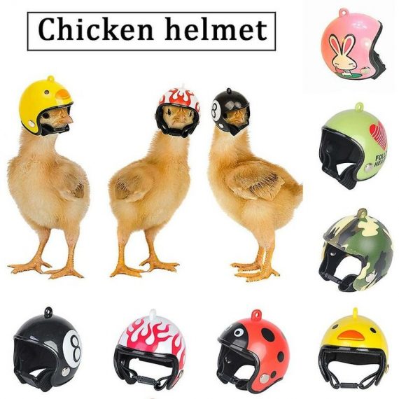 Pet Chicken Helmet Small Pet Headgear Pet Bird Creative Hat Head Protecter - Flkwoh 9uk13788-OF1203 9348381009047