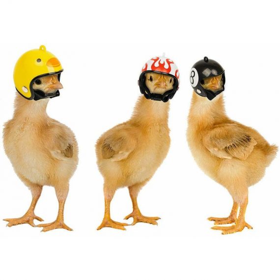 Chicken Helmet Hat Pet Helmets Small Bird Chicken Helmet Hat -3pcs MY007354M1022K 9171440555342