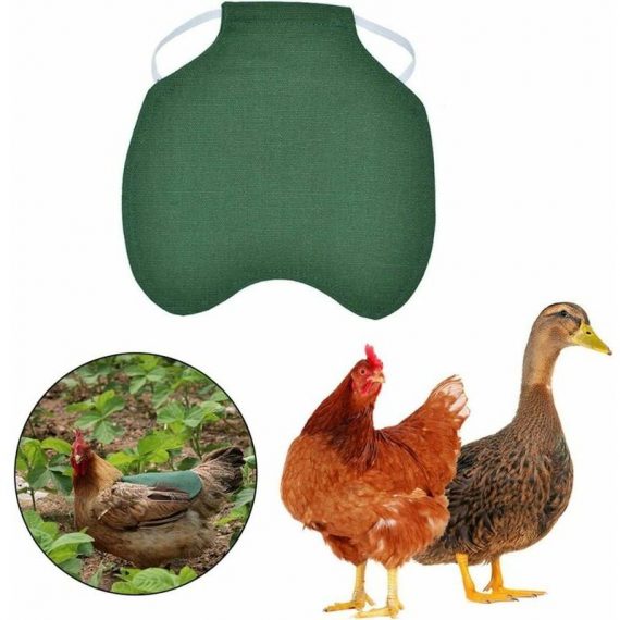 3 PCS Pet Vest, Chicken Clothes, Poultry Chicken Saddle Apron, Adjustable Chicken Vest Spring Protection Support Green Nce-17392 6931903005769