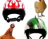 Perle Rare - Chicken Helmet Pet Helmet Mini Animal Helmet Animal Head Helmet Toy For Small Chicken And Duck 2 Pieces YBD004917PXM 9126316549307