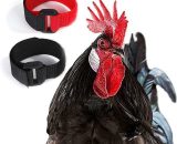 2 Anti Hook Chicken Collar Rooster Collar Rooster Collar Adjustable Chicken Collar Prevents Chickens From Screaming Disturbing Neighbors Chicken TM1066897-K 9557865384406