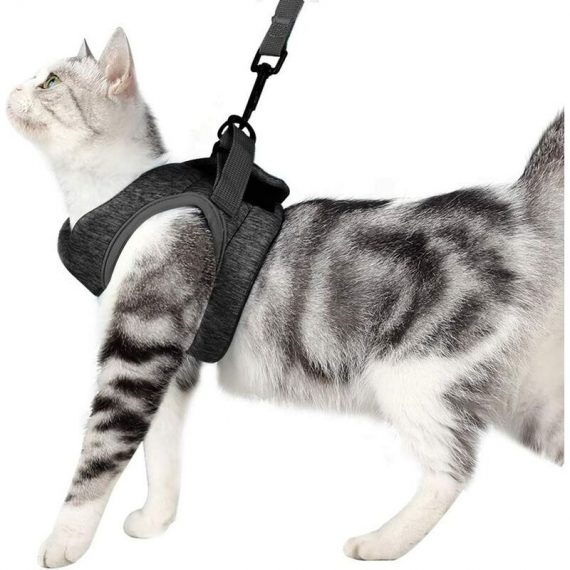 Cat Harness and Leash Ultralight Kitten Collar Soft and Comfortable Cat Walking Jacket Running, Leak-Proof Suitable for Puppy Rabbits(Grey,S) MM-OSUK-3548