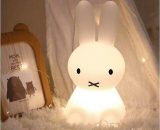 FlkwoH Led Night Light, Luminous Toy For Children Room Decoration Silicone Rabbit Colored Night Light, Suitable For Children's Gifts, Interior 9uk11693-WQ1121