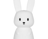 Rabbit Night Light Baby Touch 7 Colors usb Rechargeable Can Be Timed Night Light Kids Deco Lamp For Christmas Decoration Kid Room Birthday Gift QE-0067 8473091047339