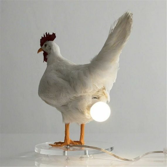 Morejieka - Chicken Led Lights Eggs Night Light Taxidermy Chicken Egg Desk Lamp THSINDEStyle a 2022121498304013